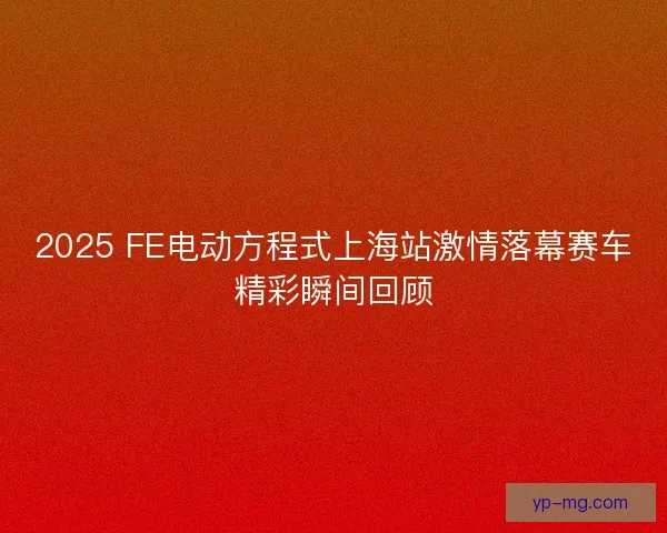 2025 FE电动方程式上海站激情落幕赛车精彩瞬间回顾