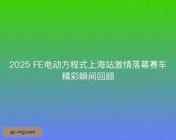 2025 FE电动方程式上海站激情落幕赛车精彩瞬间回顾