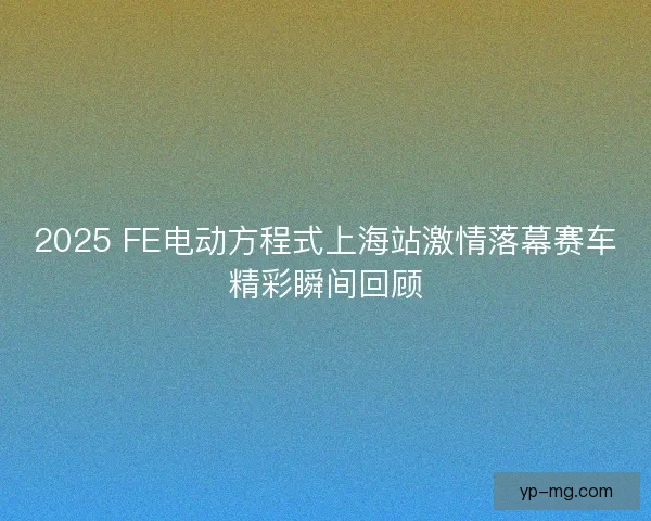 2025 FE电动方程式上海站激情落幕赛车精彩瞬间回顾 2025 FE电动方程式上海站激情落幕赛车精彩瞬间回顾