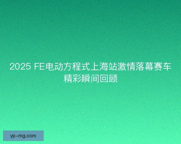 2025 FE电动方程式上海站激情落幕赛车精彩瞬间回顾 2025 FE电动方程式上海站激情落幕赛车精彩瞬间回顾